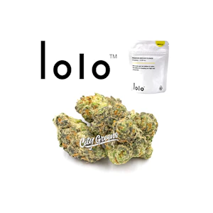 Lolo - Lolo - Italian Ice Cream - Indoor Smalls - 1/8th