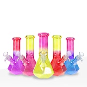 BIO | 7" 4mm Hexagon Assorted Colors  - Beaker