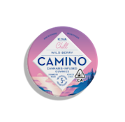 Camino Gummies 100mg | Wild Berry