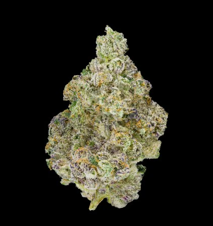 Marijuana Maven - [Maven] Flower - 3.5g - Paradiso (H) Main Image
