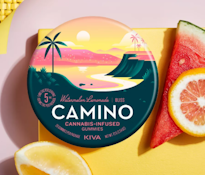 Watermelon Lemonade - Camino Gummies - 100mg