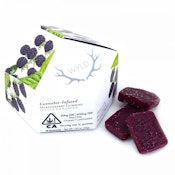 Wyld Marionberry - 100mg THC Gummies - Wyld