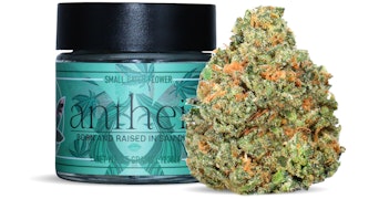 Antheia - Skyfari - 3.5g