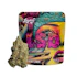 Product Preview Image 2
