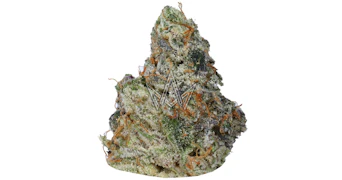 Bosky - LA Pop Rocks x Purple Push Pop - 3.5g