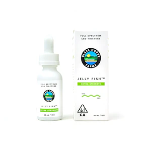 Glass House - [Glass House] CBD:THC Tincture - 30mL - 30:1 Jellyfish
