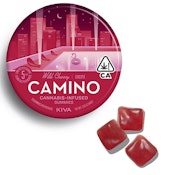 Camino Gummies Wild Cherry 100mg