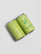 Ginger Lemongrass -6pk - Social Tonic - CANN
