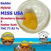 ON SALE BOARDWALK BADDER MISS USA 1G