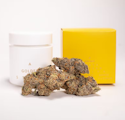 A Golden State | Celestial Peak | Indoor Flower | 1/8oz