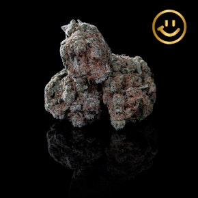 Garden First | Lime Dawg | indoor flower