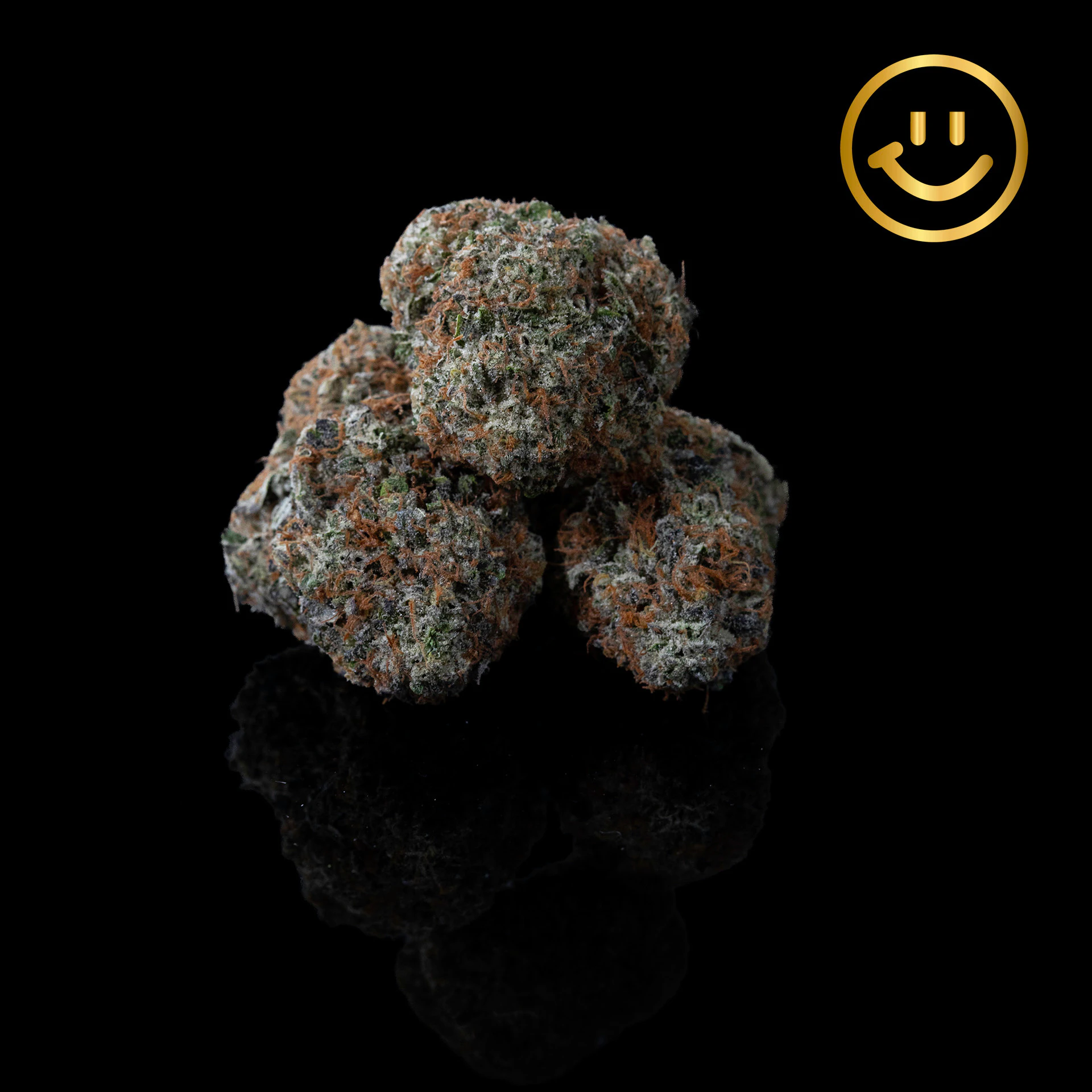 EUGREEN FARMS - Eugreen Farms | Watermelon Jealousy | indoor flower Main Image