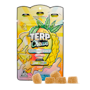 ABX - 100mg Terp Chews - Sour Watermelon
