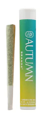 Autumn Brands - Autumn Brands Preroll 1g Sour Mango Main Image