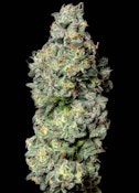 Hindu Kush Deli Bulk Flower By Alt Sol