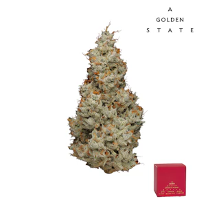 A Golden State - Shasta Bloom