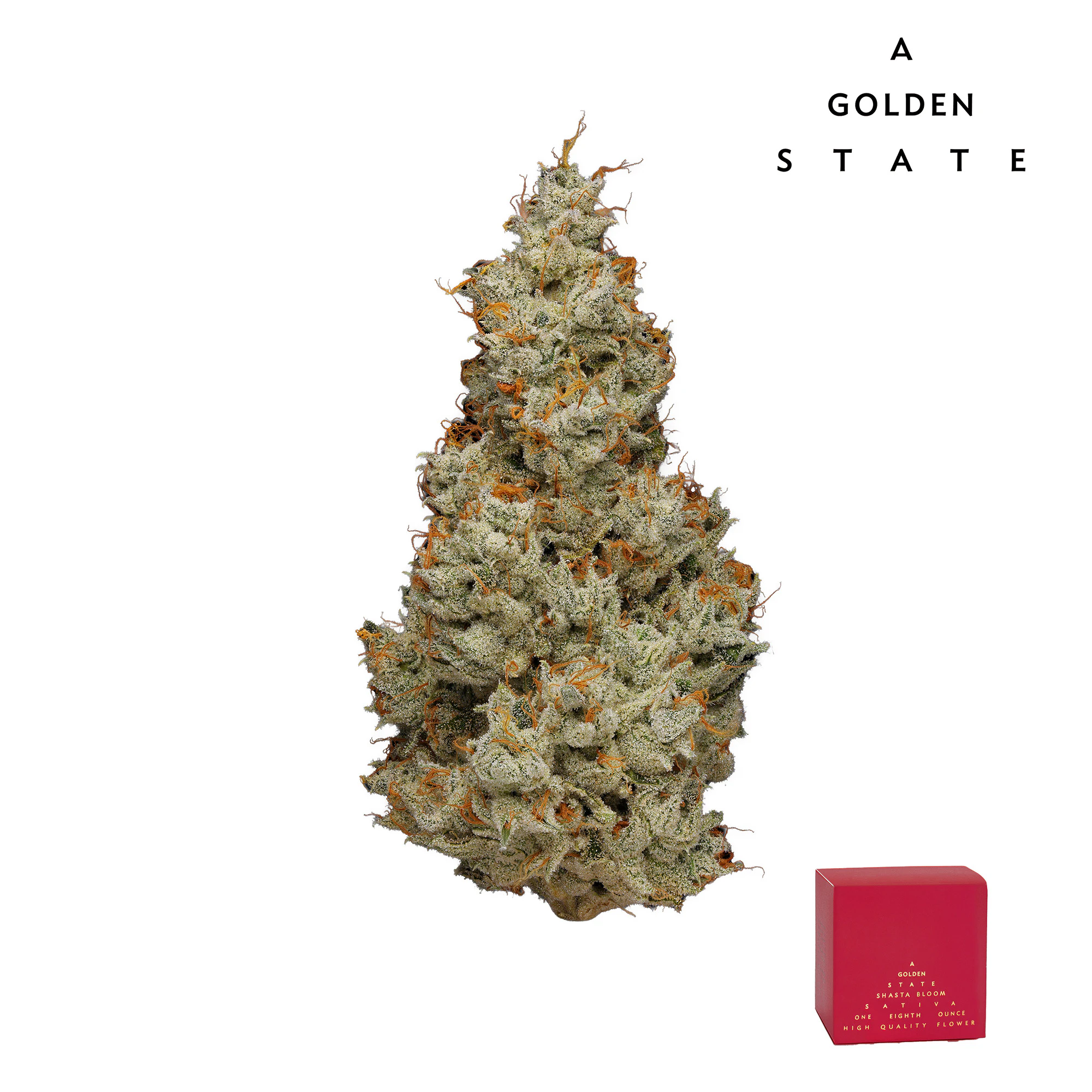A Golden State - Shasta Bloom Main Image