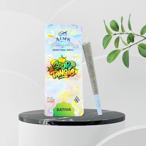 AIMS - AIMS | Sour Tangie | Pre-Roll | [1.1g] | Sativa