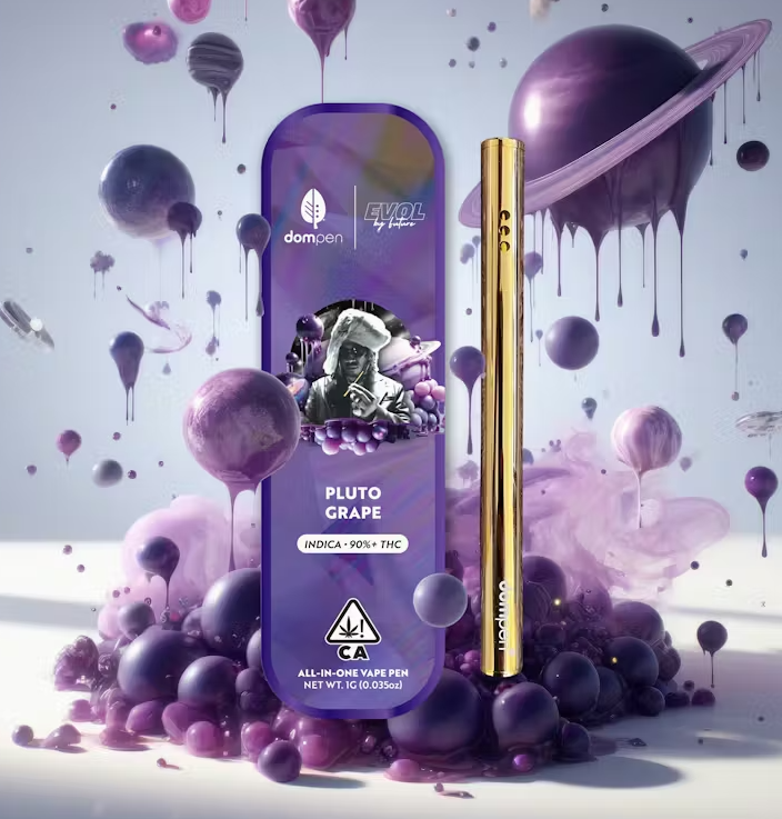 Dompen x EVOL by Future All In One 1g Pluto Grape