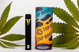 TAP ROOT | SUPER LEMON HAZE | 1G AIO 