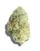 CARNIVAL 1/8oz