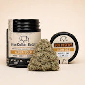 Aloha Gold - 3.5g - Blue Collar Botany
