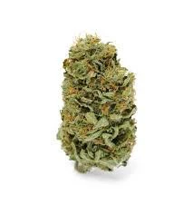 Flo - RAZZ MA TAZZ 1/4oz Main Image