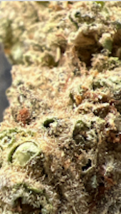 Green Leef Pharms - AMNESIA K LEMON #5-14g