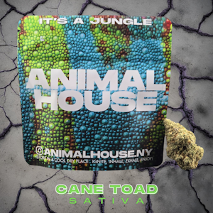 ANIMAL HOUSE - ANIMAL HOUSE | CANE TOAD | 3.5G