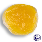 Animal Cookies Sugar Sauce Extract | 1g (Live Resin)