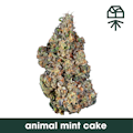 Grassroots | Animal Mint Cake | 14g smalls