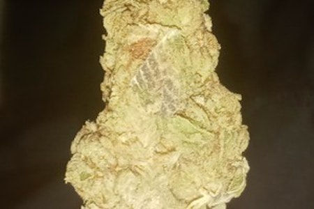 Green Zone - GZ Sunset Runtz