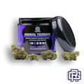 Animal Tsunami Flower | Oz Special