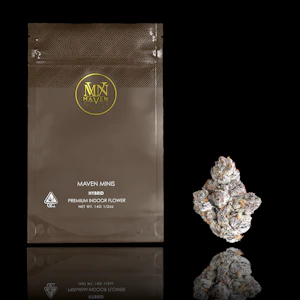 Maven Genetics - Dirty Laundry (Minis) - 14g (H) - Maven