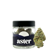 Aster - King Sherb - 3.5g