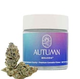 Autumn Brands 3.5g Purple Carbonite