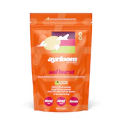 ayrloom | Sol Burst Orange Pomegranate | 2:1 THC:THCV | Gummies | 10pk | 100mg