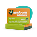 Ayrloom | Key Lime 5pk | 3g