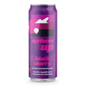 "Up" Black Cherry Sparkling Water - 10mg 