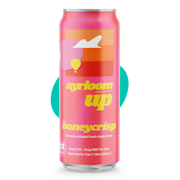 Ayrloom UP | Honeycrisp Cider 2:1 (THC:CBD) Single Can