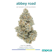 MOCA Flowers - 1/8th Jar - Abbey Road