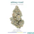 Product Preview Image 1
