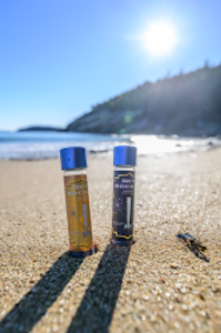 BLUE SKY LABS - Blue Sky Lab | 1.25G Truffle Monkey | Sky Rocket