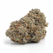 Acai Berry Gelato | 3.5g