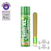 Acapulco Gold XL 2g Pre-Roll