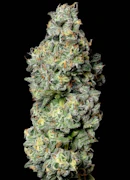 Cherry Lemonade 3.5 G Jar by Alt Sol