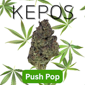 Kepos - Push Pop 14g - PREMIUM FLOWER