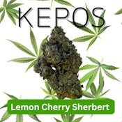 Kepos - Lemon Cherry Sherbert 14g - PREMIUM FLOWERS