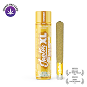 Jeeter XL | Quad-Infused - Piña Colada