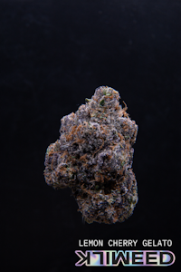 Milkweed - MilkWeed | Lemon Cherry Gelato | 3.5G